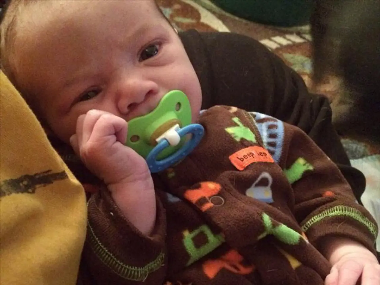 Varieties of Human Nipples: An Analysis