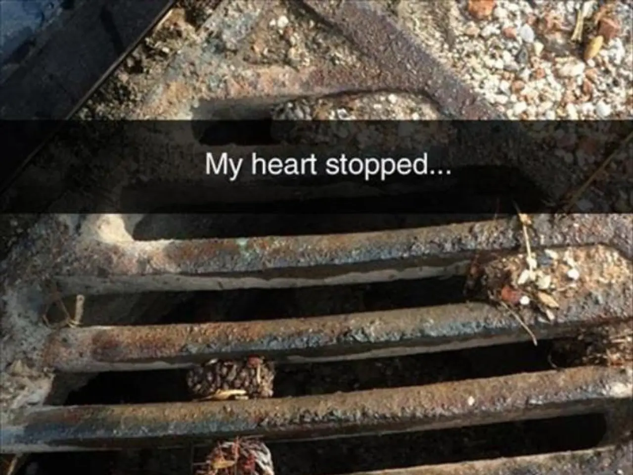 A previous University of California, Irvine president expresses gratitude towards a British Heart...