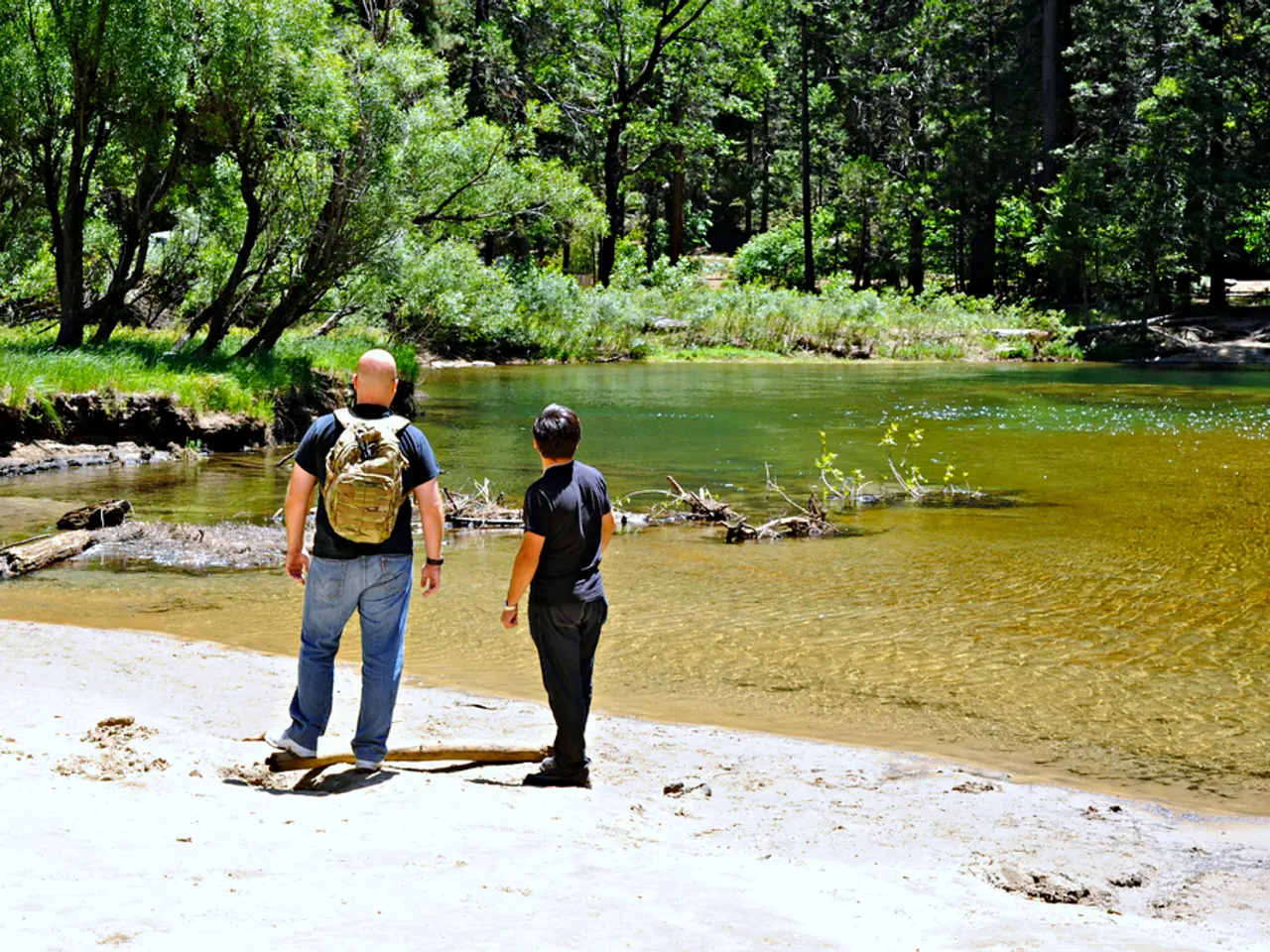 Seek assistance with family law issues from the State Bar of Arizona at no cost