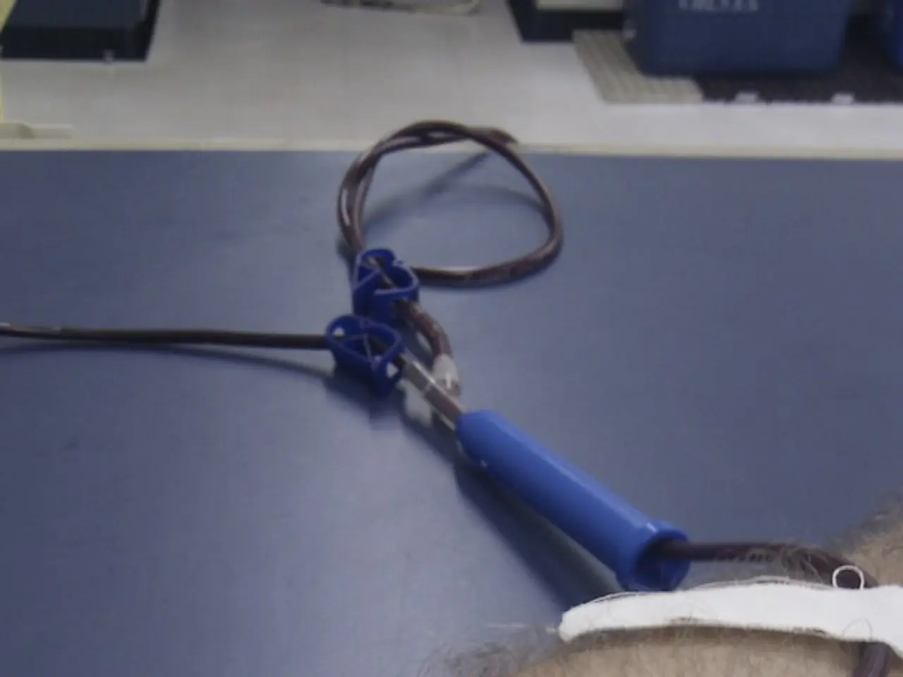 Council approves the resolution lifting objections for organ donations at the federal level.