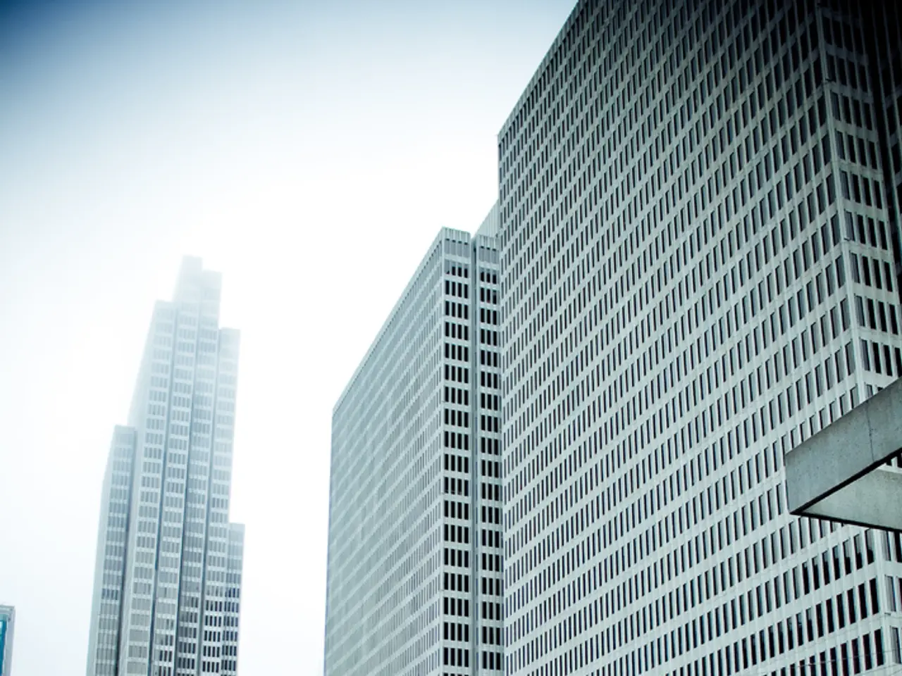 Market's demand for trees remains unmet due to supply issues