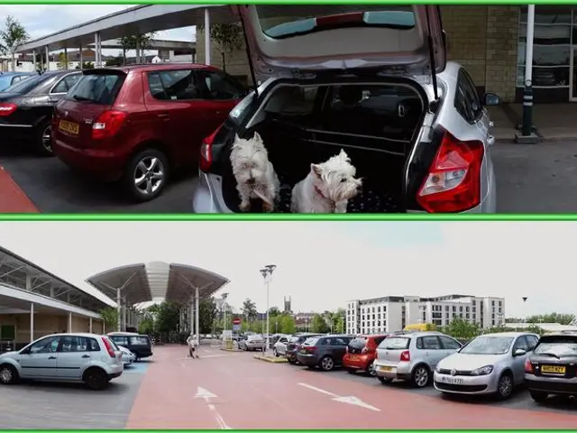 Canine units successfully locate missing individuals