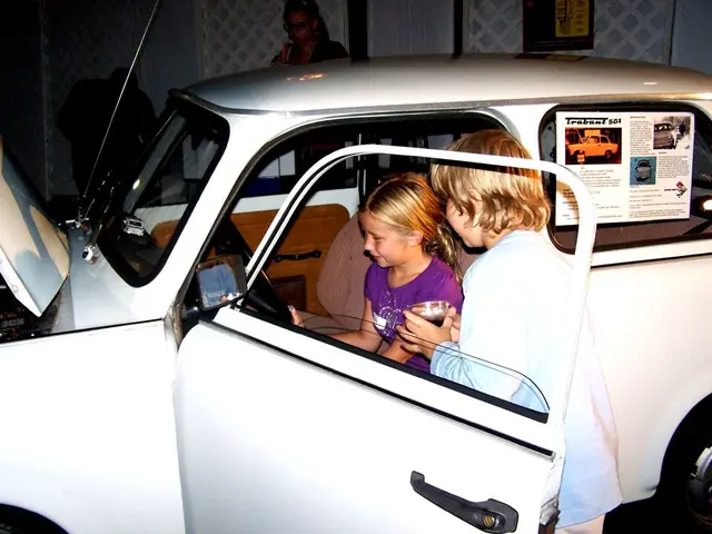 Potential Dangers of High Temperatures in Vehicles for Children or Pets: Important Safety Tips to...