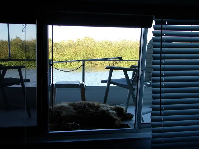 Top guidelines for ensuring your canine companion stays secure and healthy during the warm season