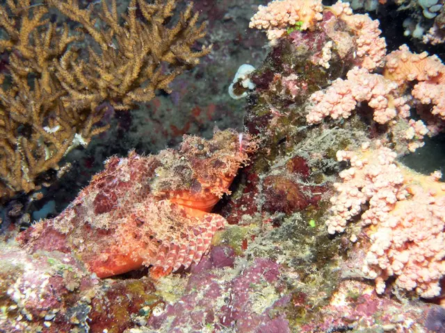 Protective zoning implemented in Rayong safeguards coastal regions for enhanced biodiversity...