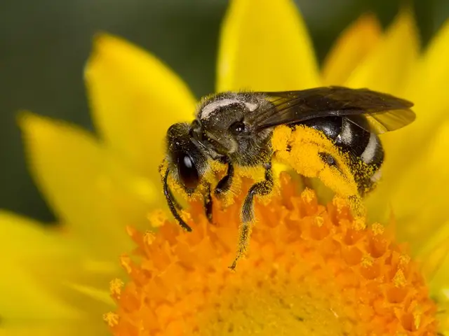 Nipah Virus Resurfaces: Notable Cases in Specific Districts of Kerala Trigger Renewed Worry