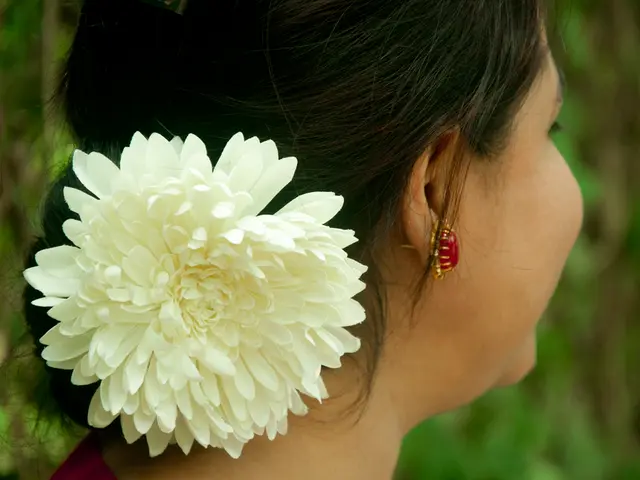 Exploring Hair Restoration Options: Is a Transplant Suitable for Thinning Tresses?