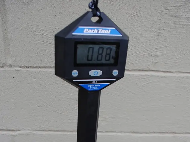 Identifying Signs of Potential 'Dopamine Deficiency' and Steps to Potentially Re-establish Balance