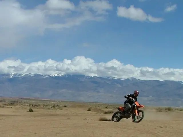 Eczema affecting the scrotum: Symptoms, causes, and remedies