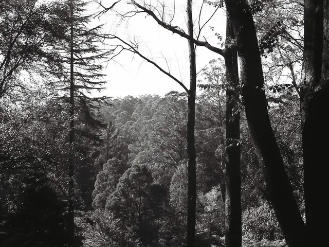 Avoiding Harm to Trees from Altered Academic Grades