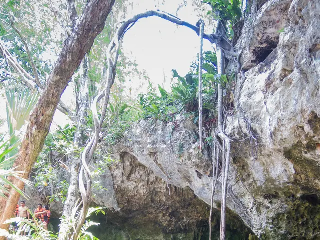 The question explores the duration humans can survive without consuming water.