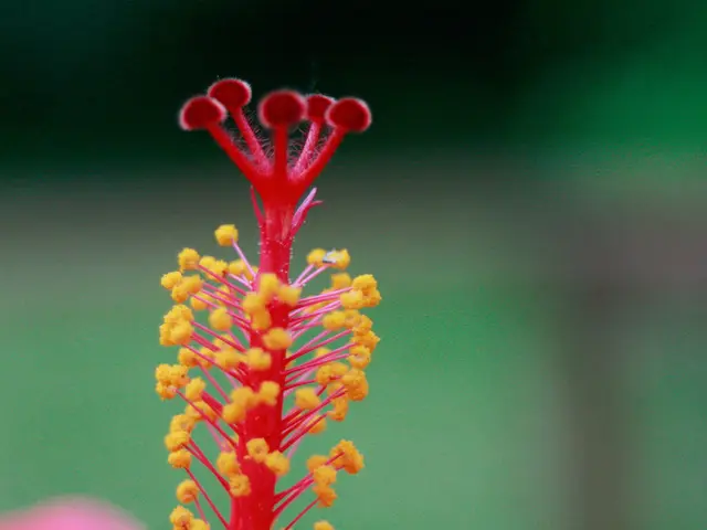 Detailed Overview of Nonallergic Rhinitis: Recognizing Symptoms and Solutions