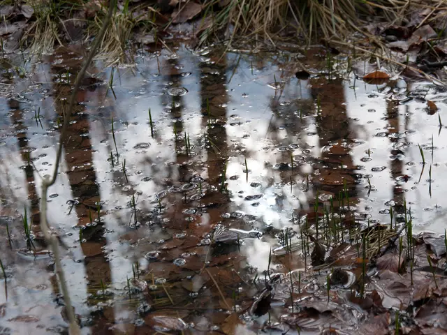 City Implementation of Water Quality Assurance: German Metro Announces Drinking Water Measure