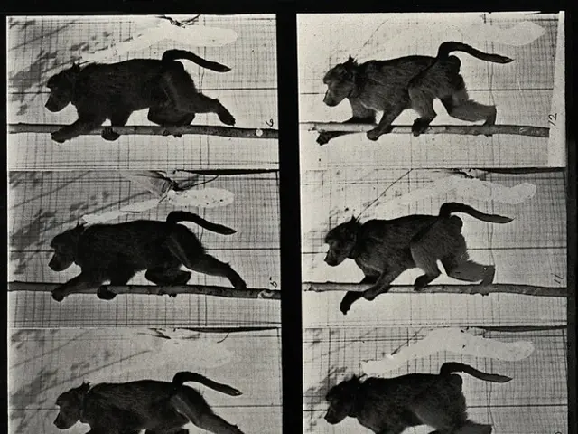 Adaptation of "Flow" for Individuals with Visual Impairments: A New Approach