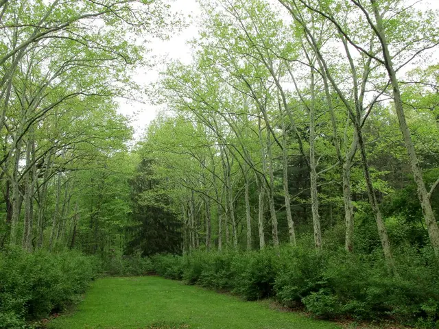 One hundredth petition for the transfer of climate technology delivered to the UNFCCC's Climate...