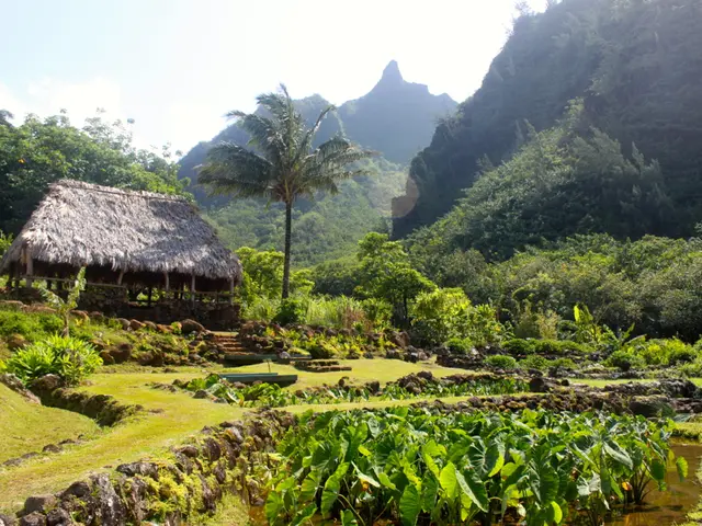 Nerve Harm in the Radial Area: Signs, Triggers, and Remedies