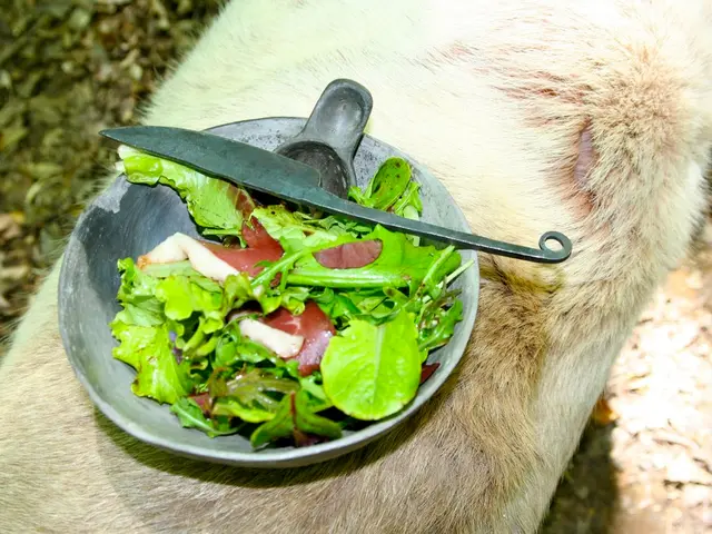 Surgery for Ulcerative Colitis: Procedure details, Post-op recovery, and Anticipated Outcomes