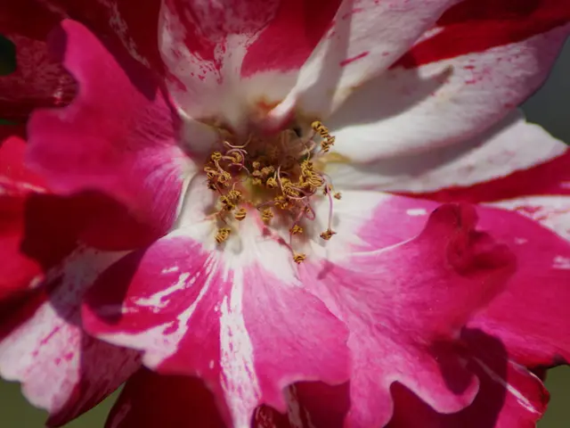 Unusual Vaginal Bleeding: Understanding Causes and When to Seek Medical Advice