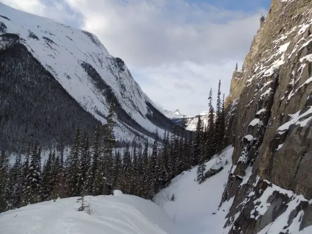 Climate crisis underlined by satellites: the severe impact on glaciers