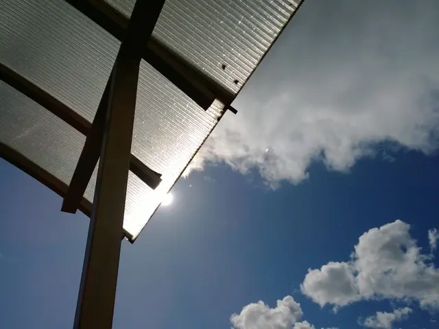 Sauna Sessions: Their Impact on Alleviating Utah's Seasonal Allergy Symptoms