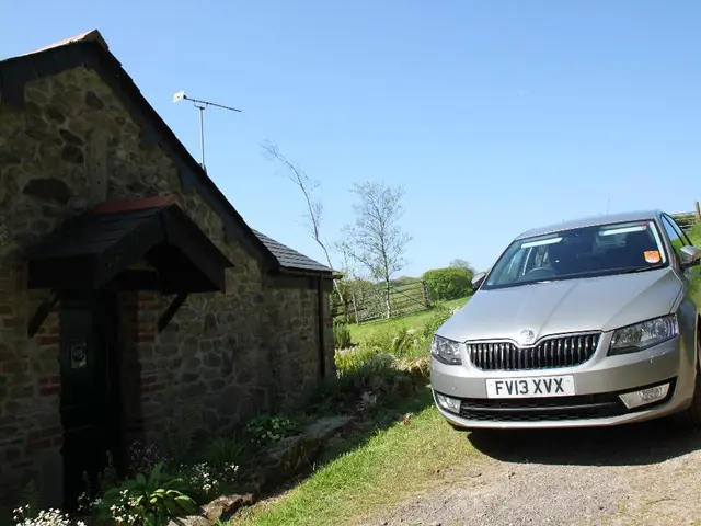 Identifying Overabundance of Negativity: Recognizing and Managing Pessimistic Individuals