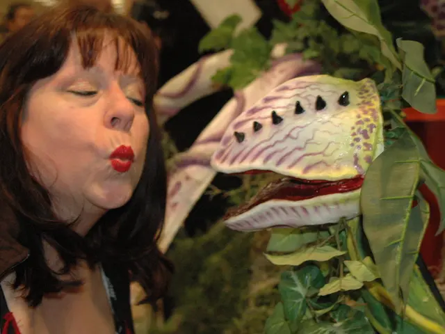 Stimulation of the Vagus Nerve as a Method for Managing Temporal Lobe Seizures