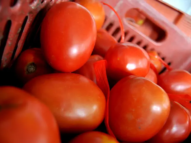 Decrease in tomato consumption marked notably