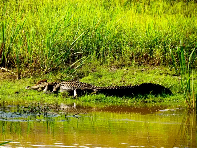 Rapid Wetland Recovery Boosts Drought and Climate Change Resilience within a Year
