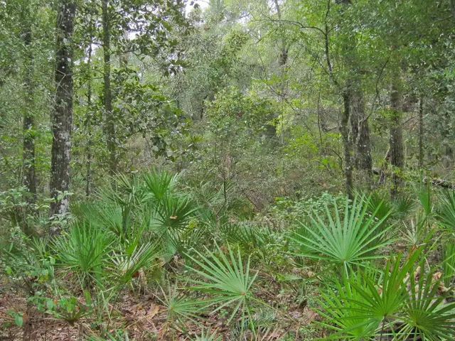 Exceptionally durable vegetation, handpicked by preeminent global specialists, constitute the...