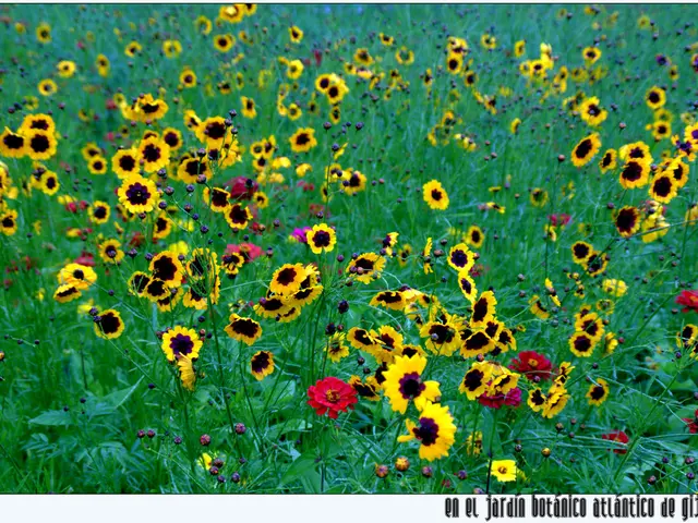 Thequestion inquires about the actual hue of Pluto and examines the reliability of the photographs...