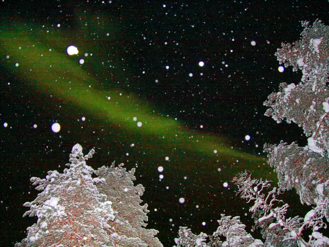 Distinguishing Symptoms: Cold vs. COVID-19 – A Guide for Recognition