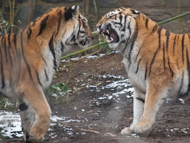 Lockdown Order: Nighttime Restrictions Imposed in Himachal Pradesh due to Coronavirus Outbreak