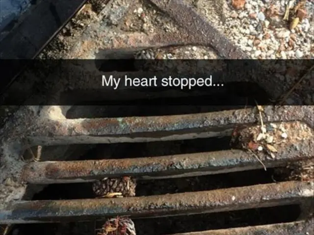 Recognizing a Heart Attack, Its Symptoms, and What to Do Immediately, along with Strategies for...