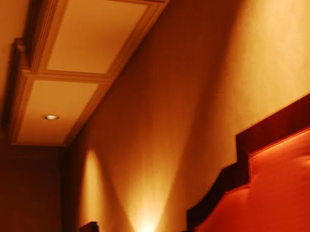 Exploring the Distinctions: Daydreams versus Nightdreams