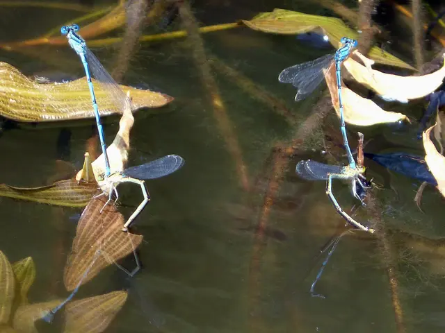 Majority of Werdersee waterbodies shut down due to water-borne illness outbreak