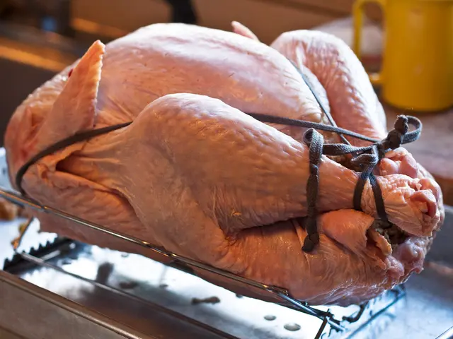 Scientists Successfully Cultivate Chicken Nuggets in the Lab Setting
