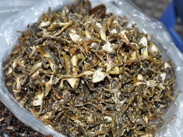 Potential Consequences of Consuming Expired Fish Oil