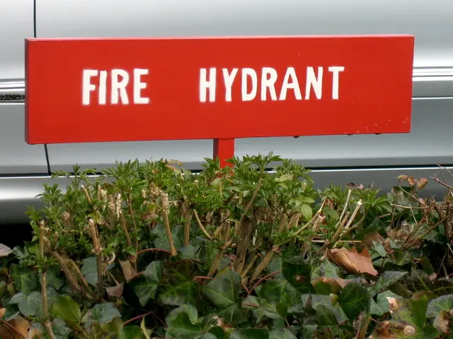 Top Picks for Lead-Free, Safe-to-Drink Garden Hoses without Harmful Substances