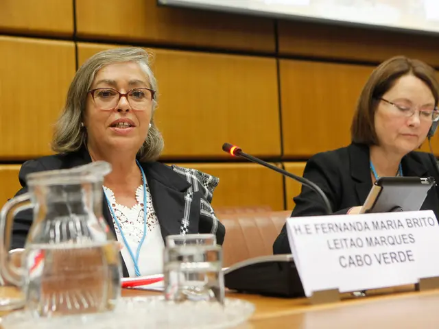 Is It Contacts or Glasses That Suits You Better? A Comparative Analysis