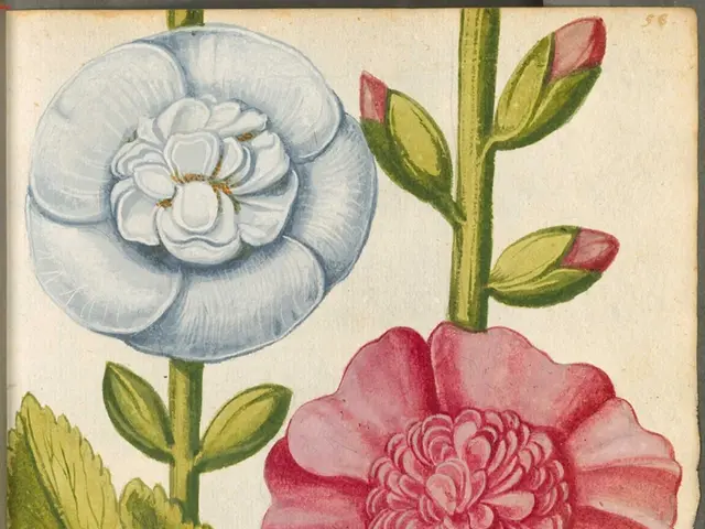 Exploring the Mysteries of Intimacy: Decoding Strong Human Bonds