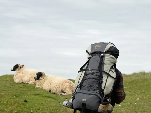 Aid flights from Germany to Gaza have commenced