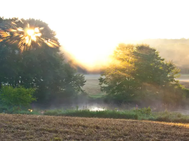 Transient Ecological Landscapes - Fleeting Biological Entities Emerging for a Brief Instant