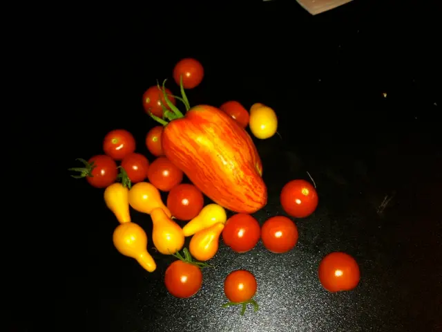 6 Causes of Abdominal Discomfort Post Consuming Fruits and Suggested Remedies