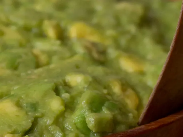 Examining Dietary Requirements: A Comprehensive Parakeet Maintenance Manual