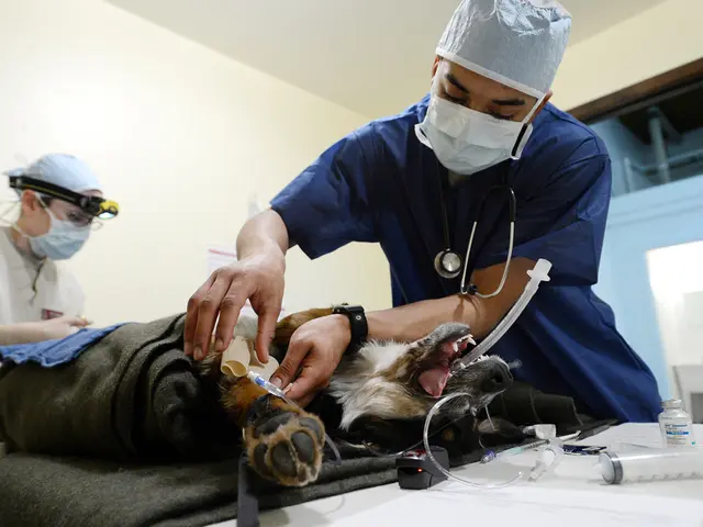 Historic First: Organ Transplant Conducted on Bengaluru Metro for the First Time