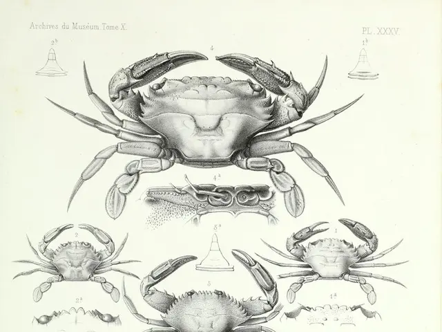 No Record of SARS-COV-2 Isolation or Purification Found Anywhere, Ever, Due to Its Nonexistence