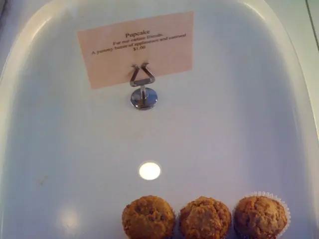 Schools in West Virginia rush to remove synthetic colors from school meals before the new academic...