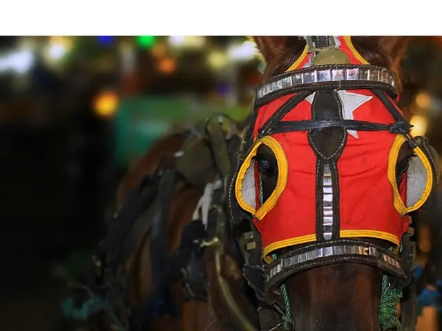 Modern dwellings for 68 homeless individuals are supplied by Don Bosco house in the heart of...