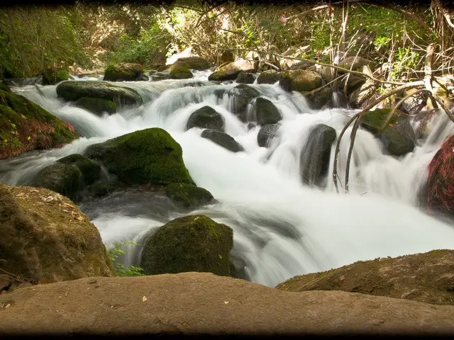 Contaminated Soil from Plants: Causes and Preventive Strategies