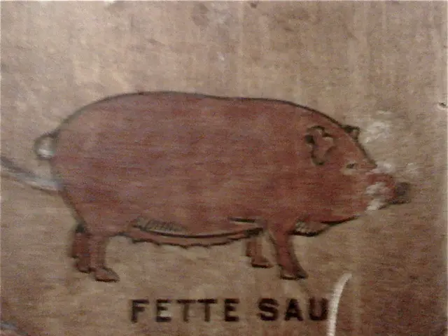 Genetic manipulation of American meat could be imminent, explaining the processes involved